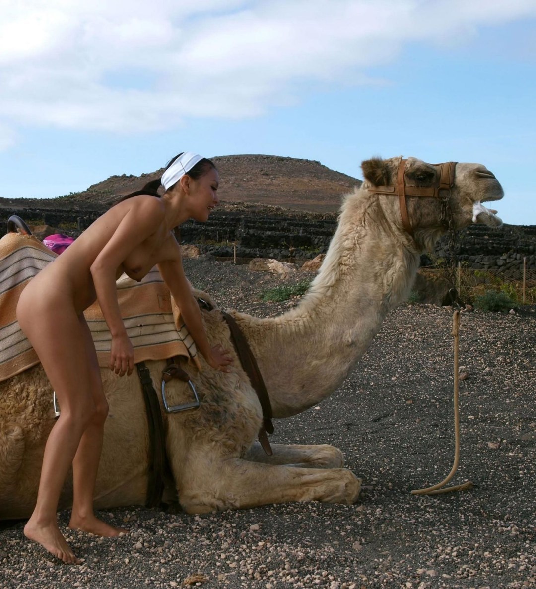 Mongolo desnudo con un camello