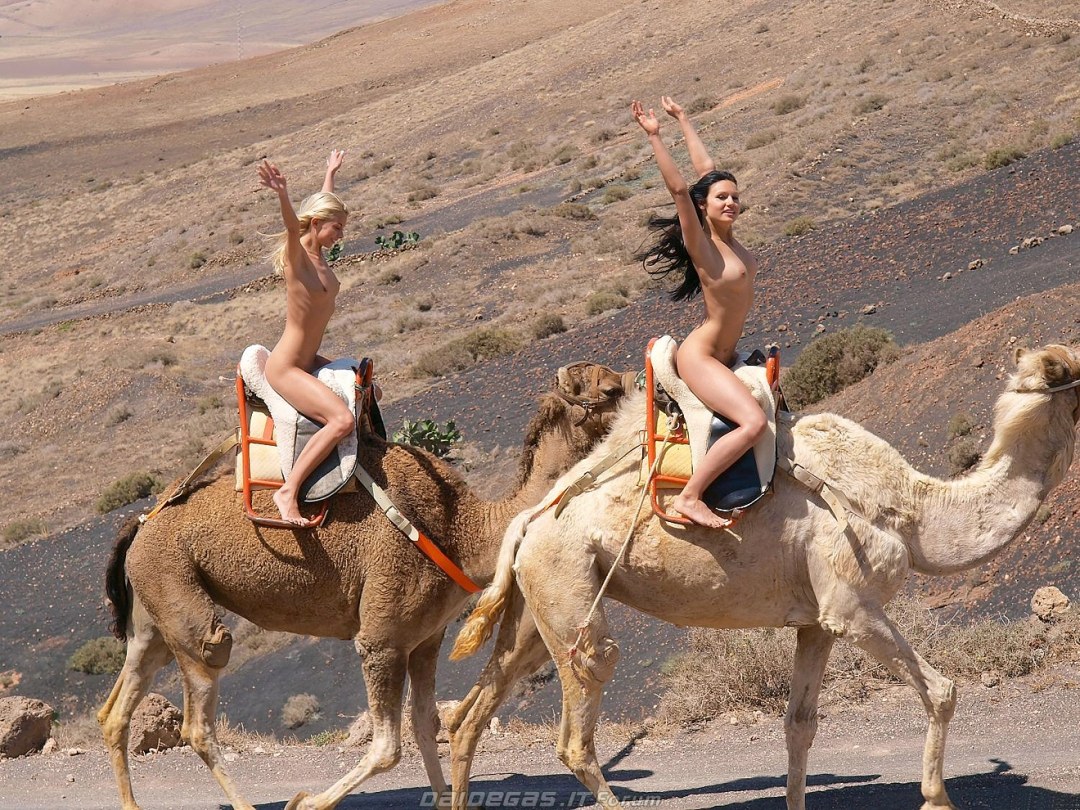 Desnudo con un camello en el desierto