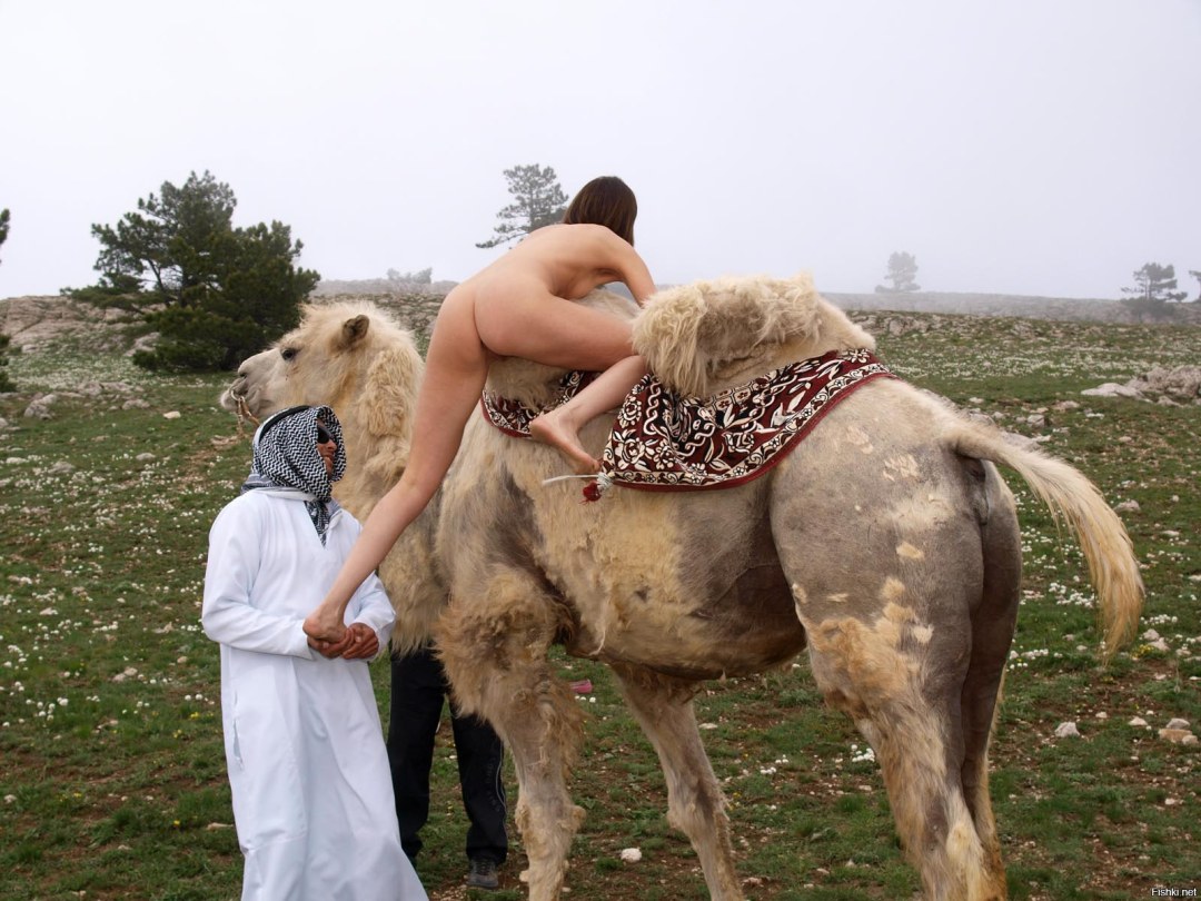 Desnudo con un camello en el desierto
