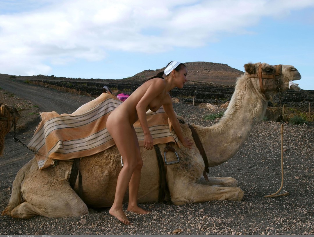 Sesión de fotos desnuda con camello