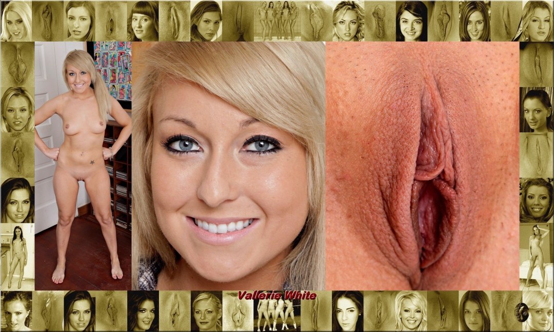 Celebridades de la cara y la vagina