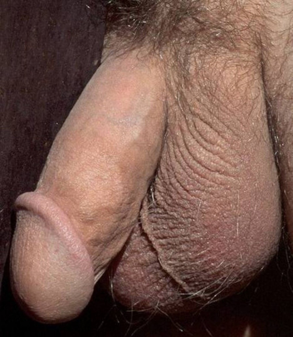 Colgando gorda polla peluda