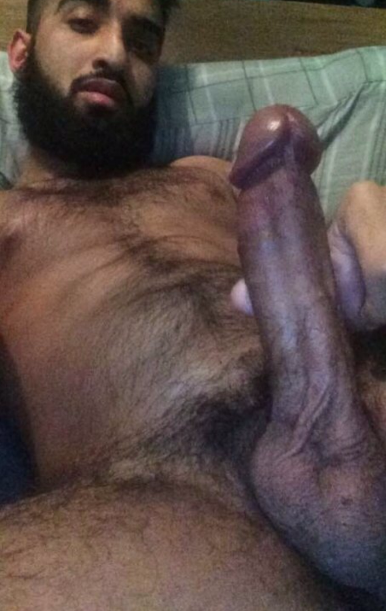 Miembro árabe peludo