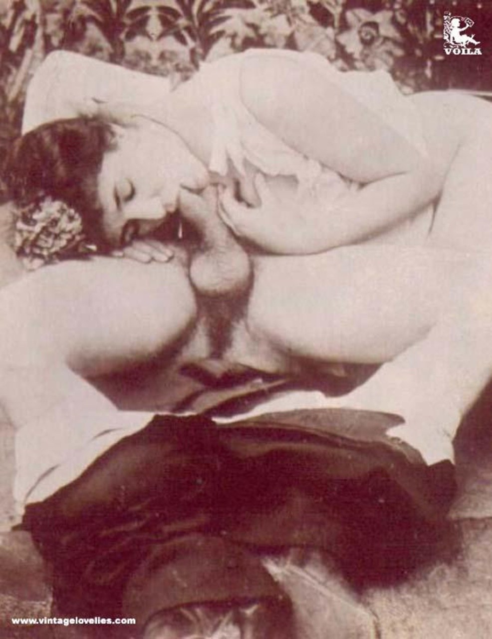 Viejo pornográfico
