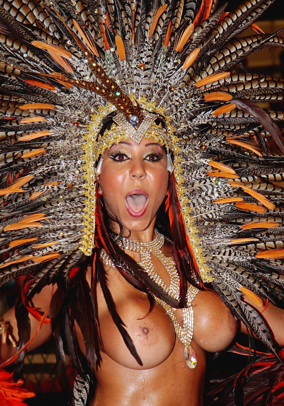 Carnaval erótico de Río (Río Carnival)