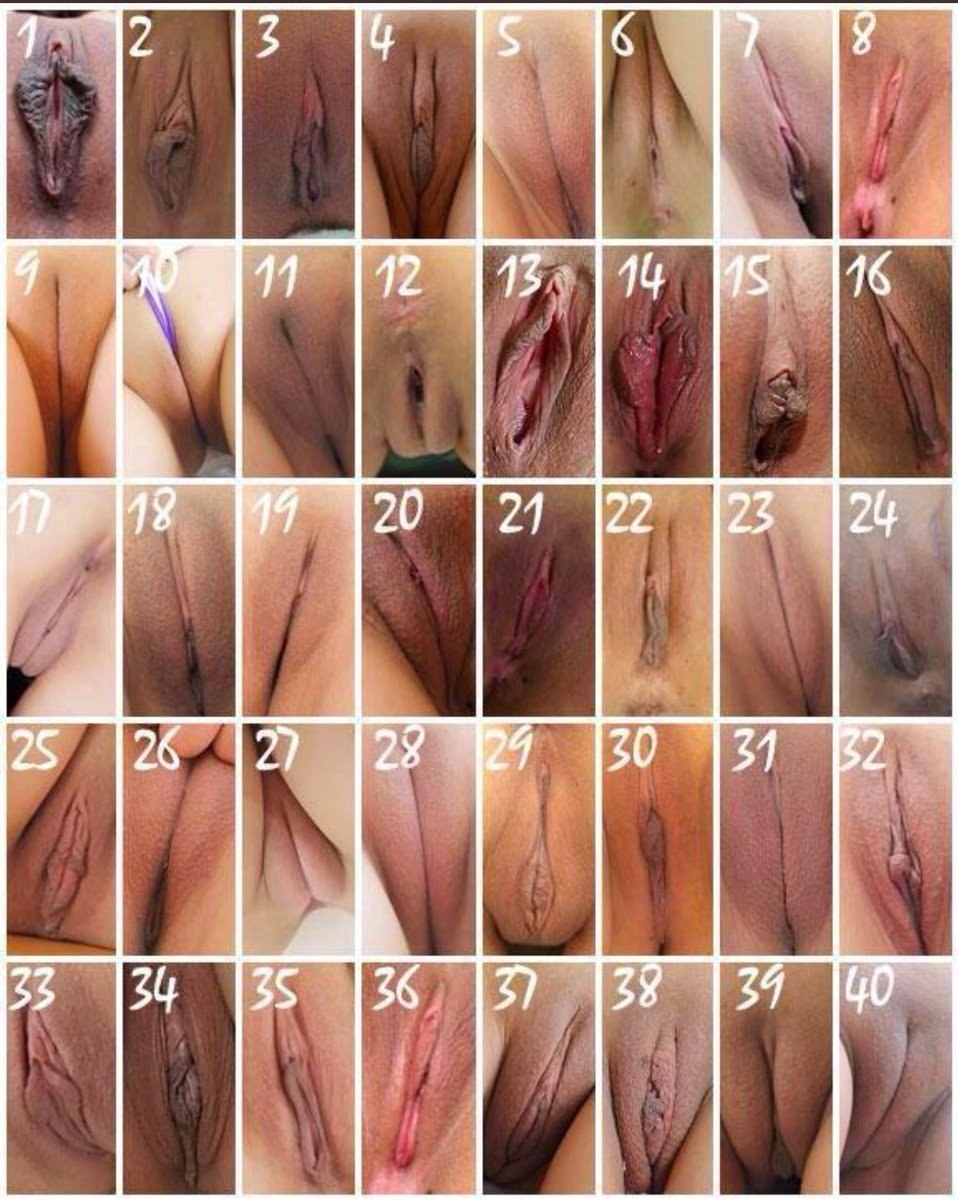10 especies de escribas para mujeres