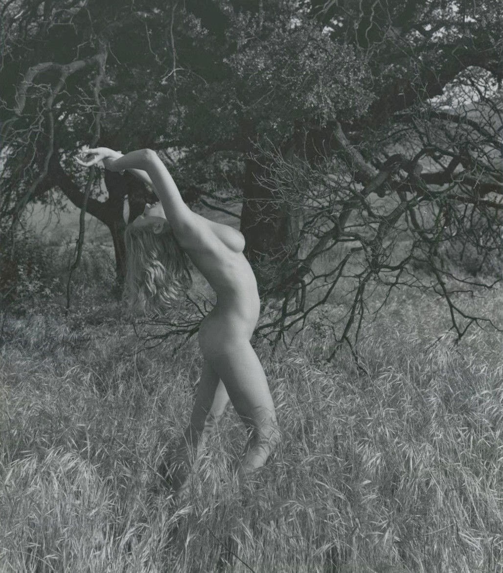 La actriz sueca Anita Ecberg desnuda