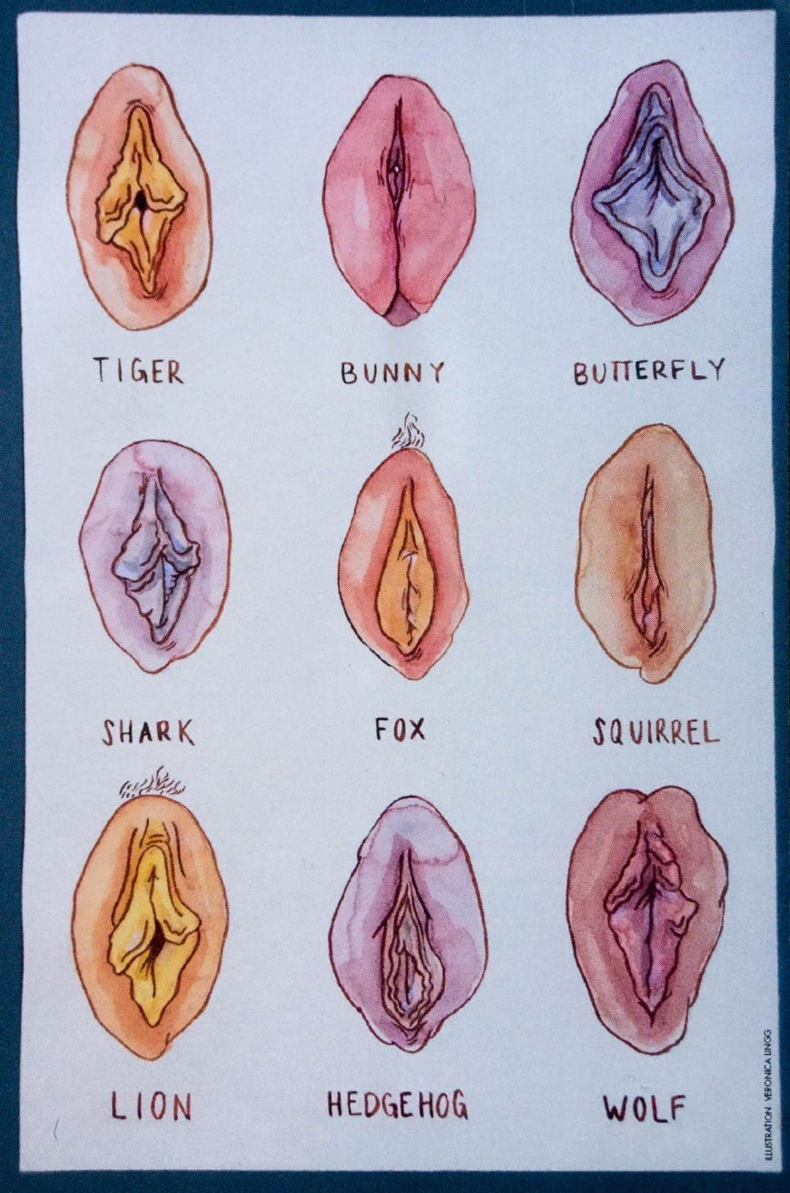Genitales femeninos