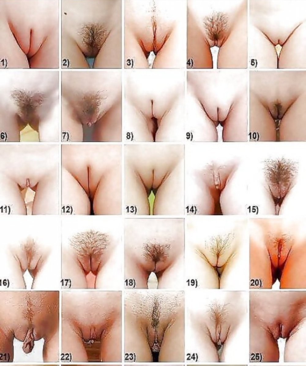 Vagina femenina diferente