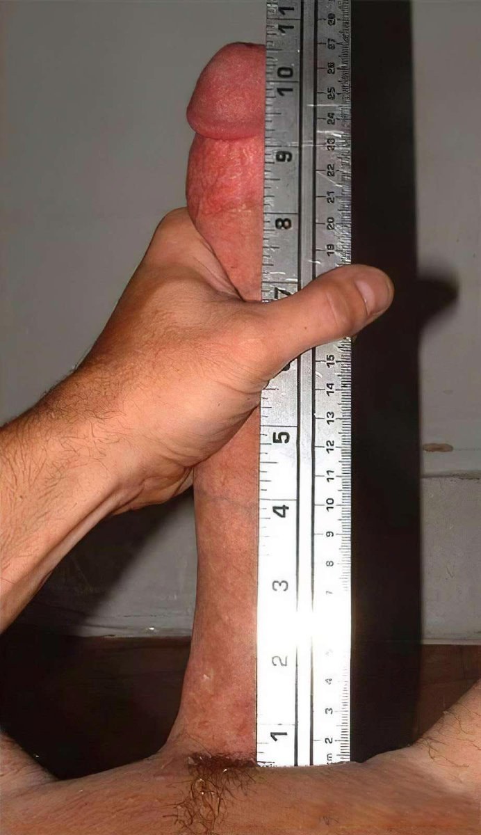 Miembro de 18 centímetros con una regla