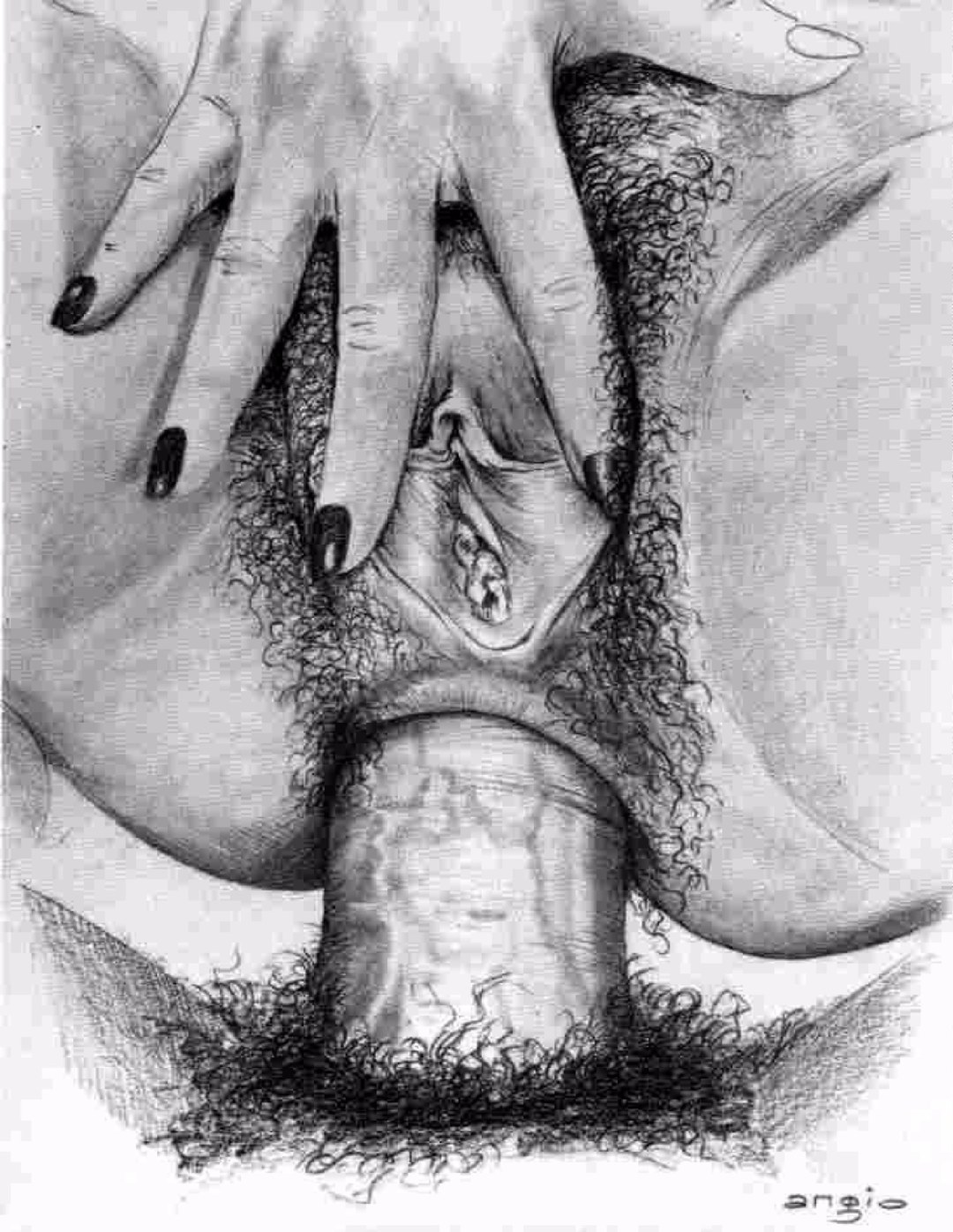 Imagen artística de la vagina