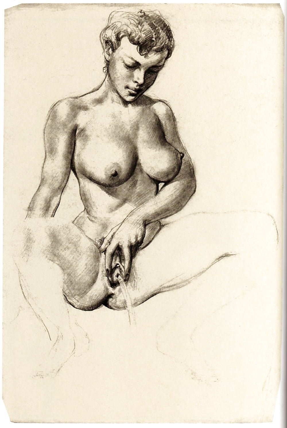 Ilustración de los genitales