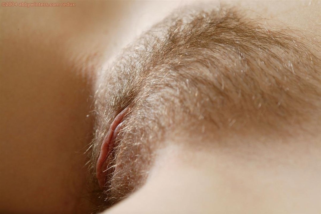 Cabello brillante en el pubis