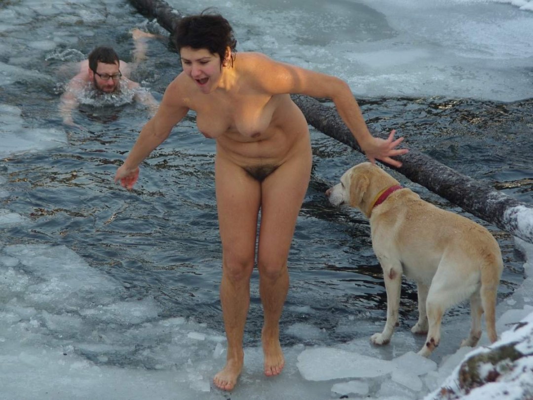 Las morsas desnudas se bañan en el agujero