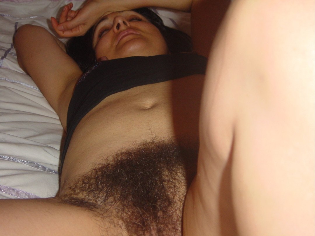 Catineros peludos durmiendo
