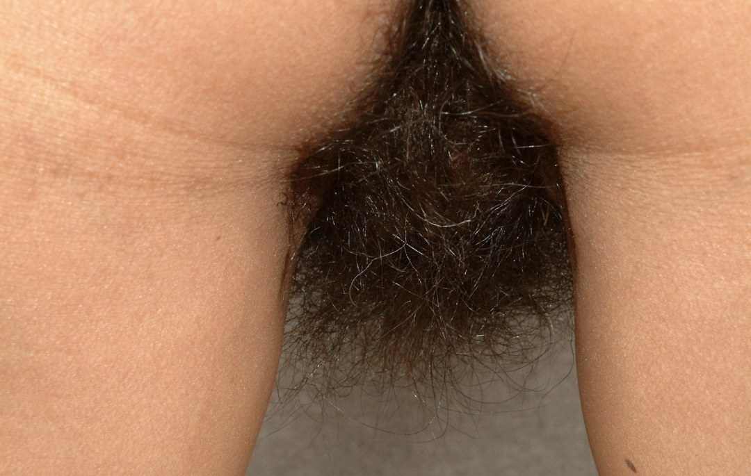 El cabello más grueso del pubis
