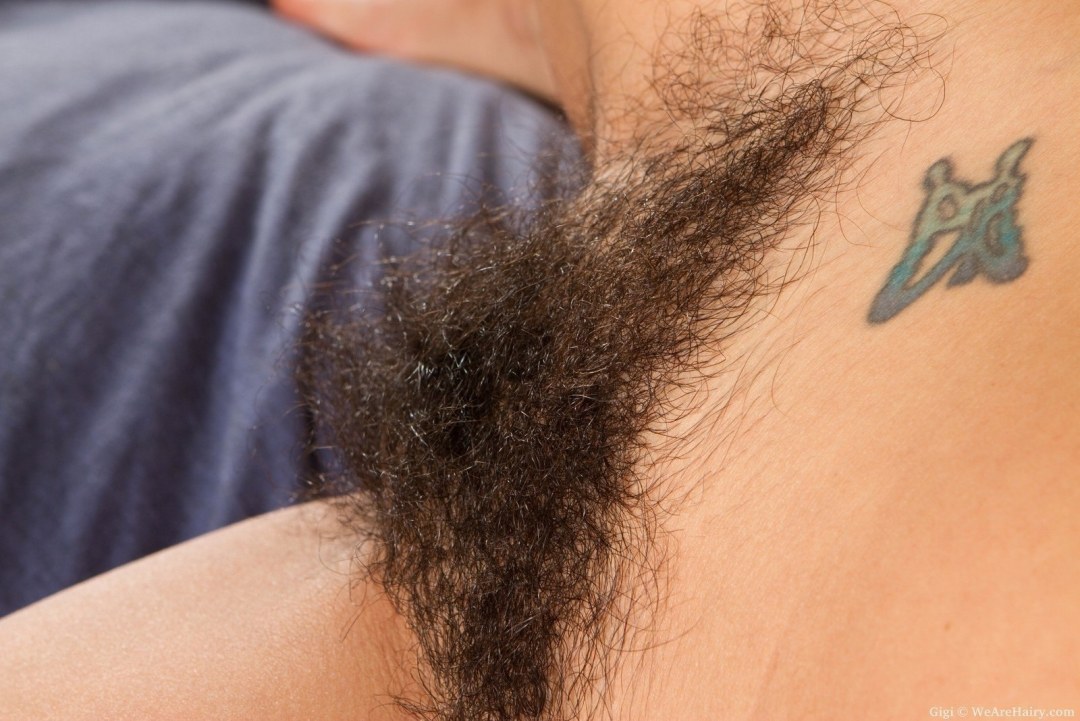 Triángulo peludo en el pubis