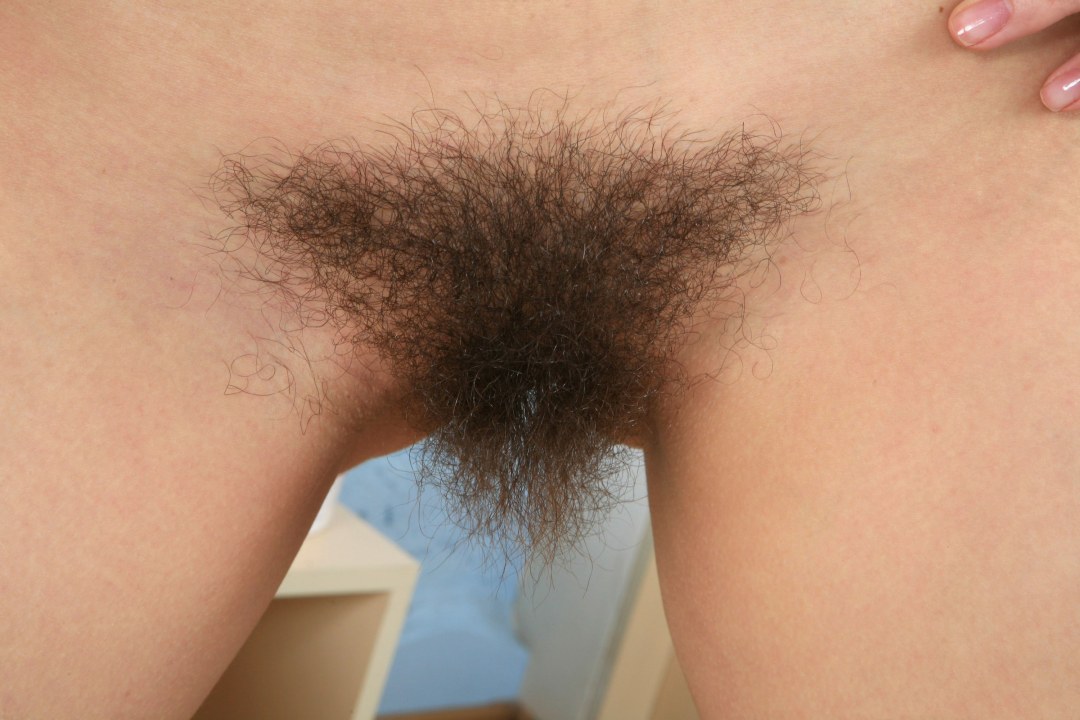 Pequeño cabello en el pubis