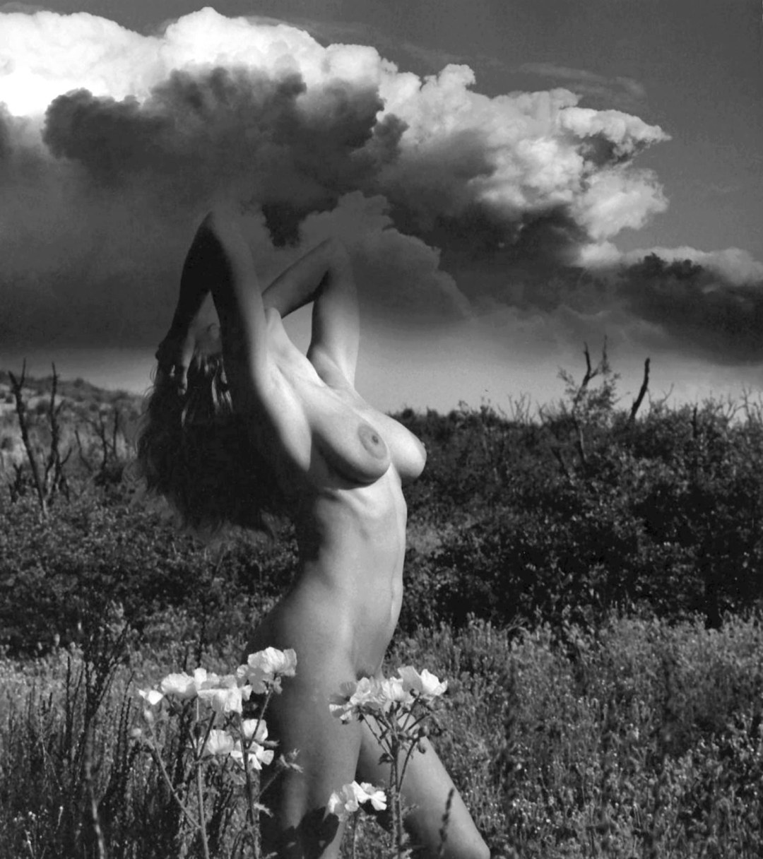 La actriz sueca Anita Ecberg desnuda
