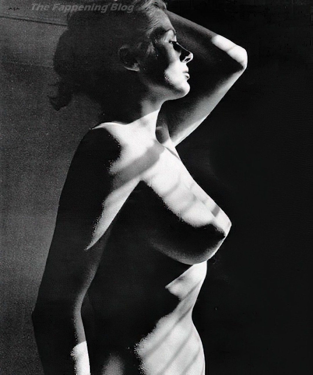 Actriz porno Anita Ekberg