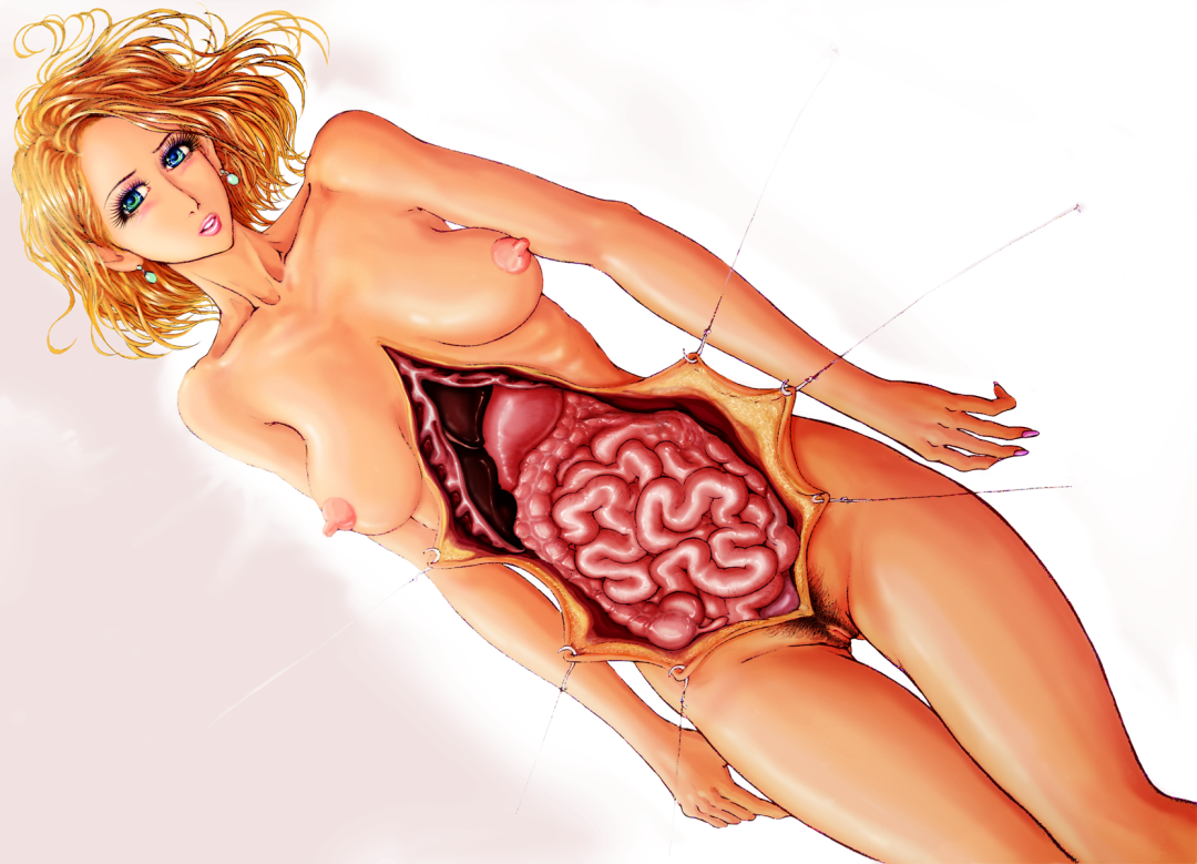 Anatomía hentai de una mujer