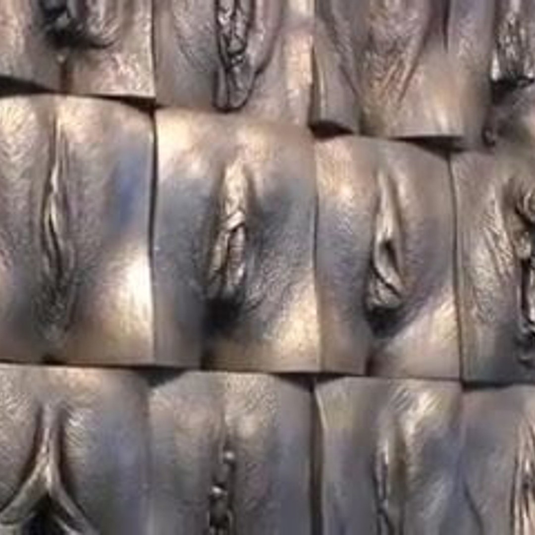 Muro de Vagin Jamie McCartney