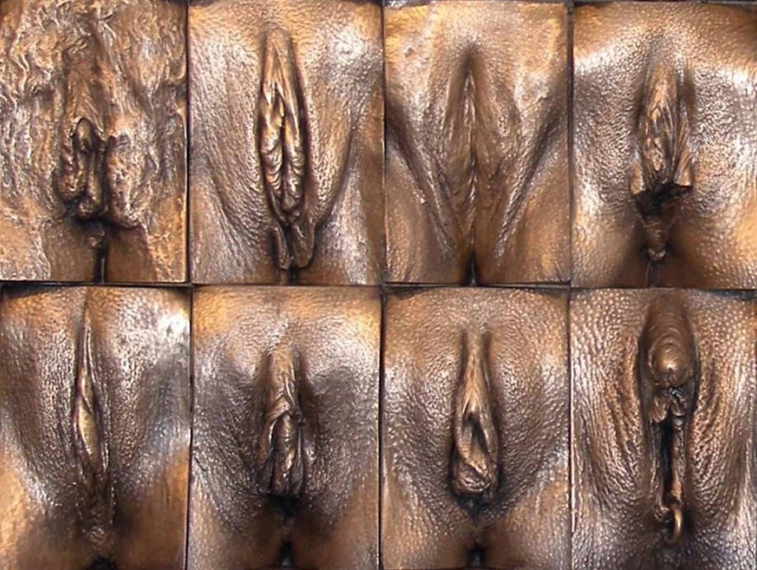Variedades de vagina femenina