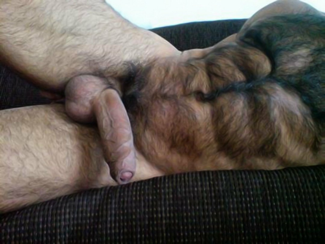 Enorme miembro peludo del caucásico
