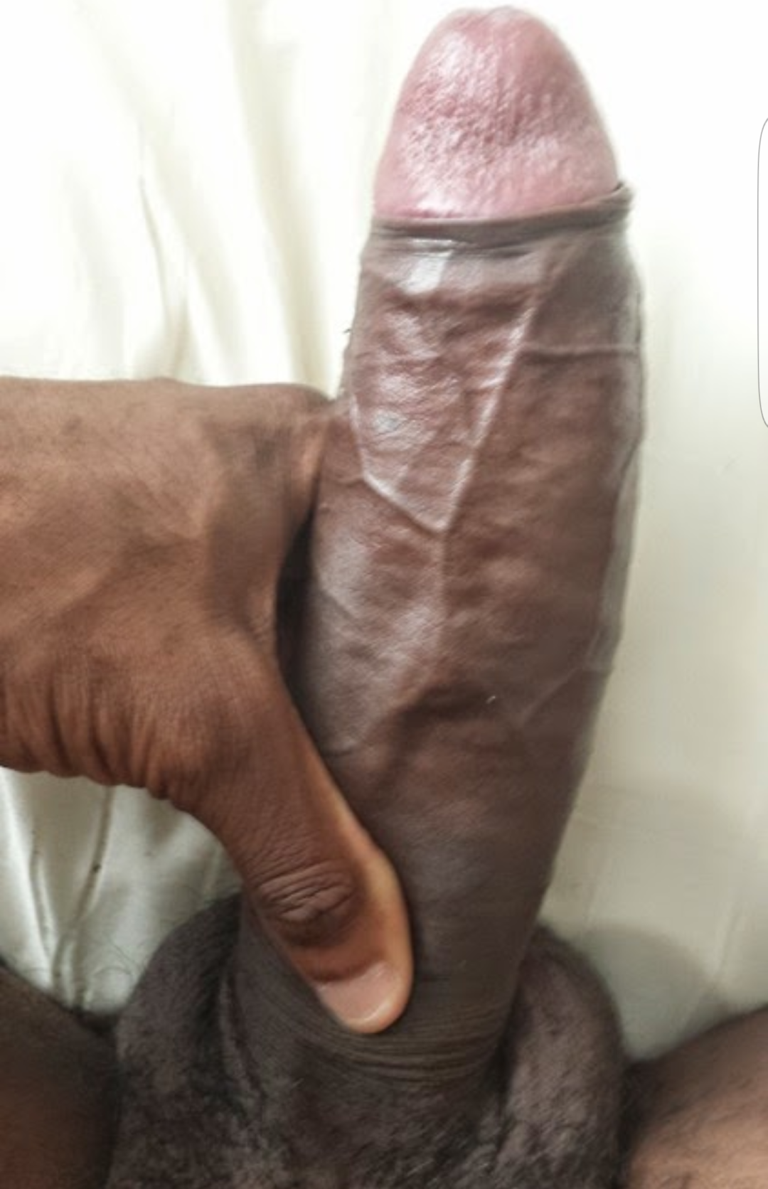 Enormes miembros negros con venas