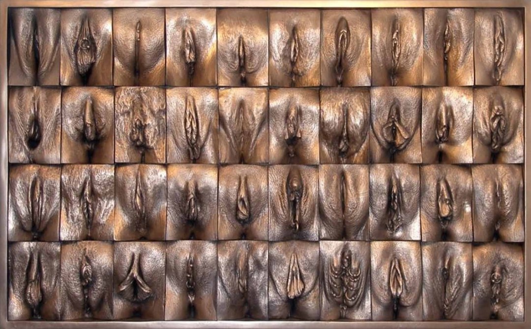 Vagina femenina diferente
