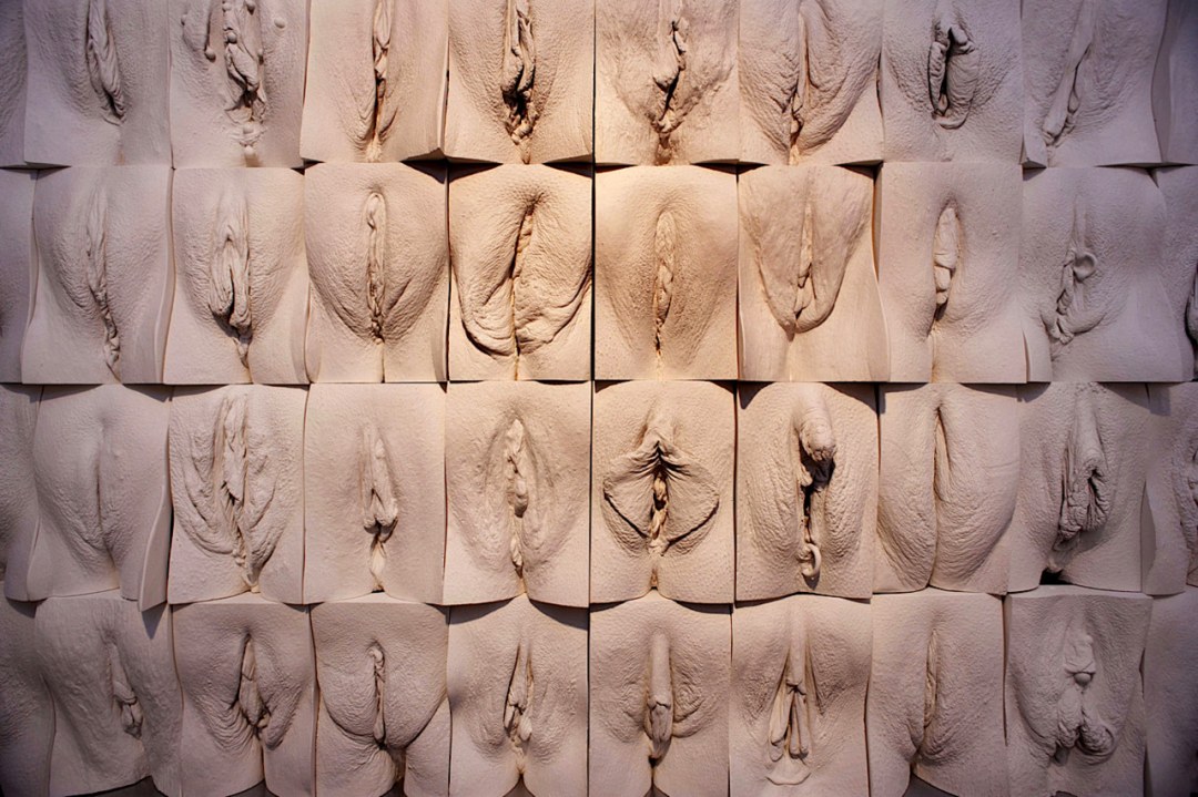 Parpadeos de Vagini Jamie McCartney