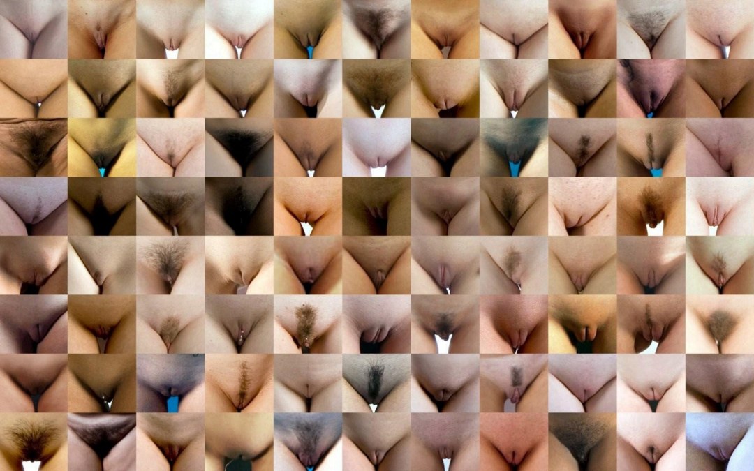Jamie McCartney "La Gran Muralla de Vagin"
