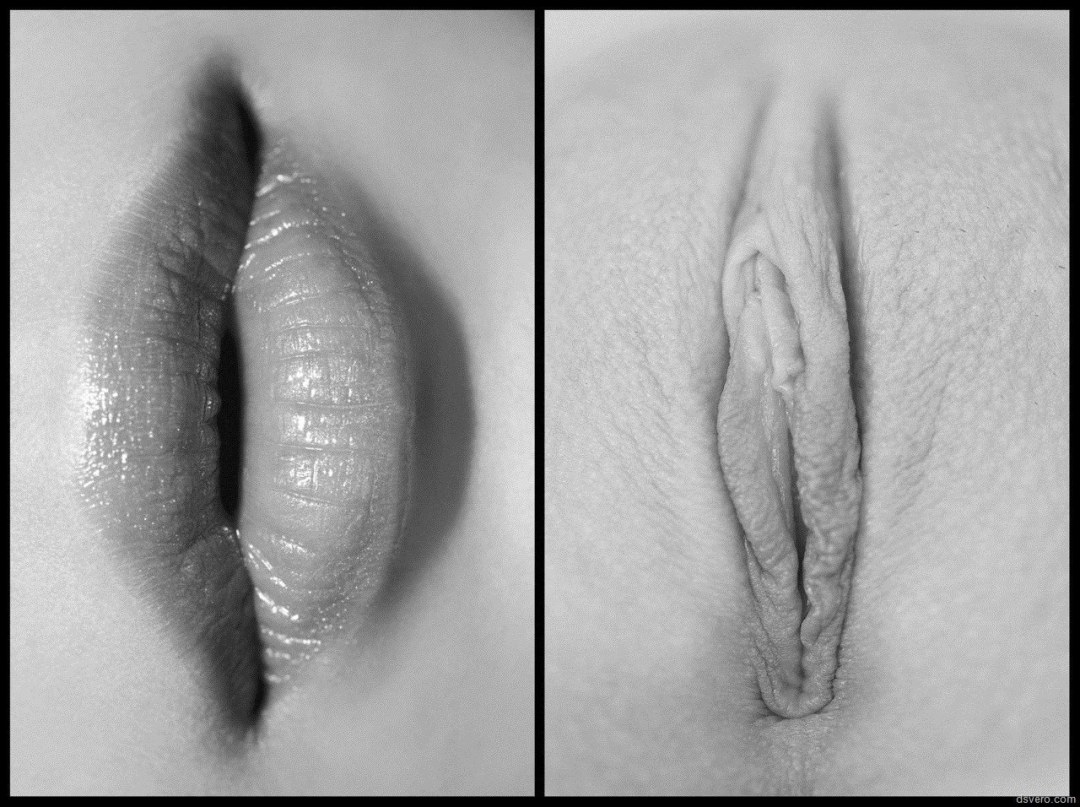 Imagen artística de la vagina