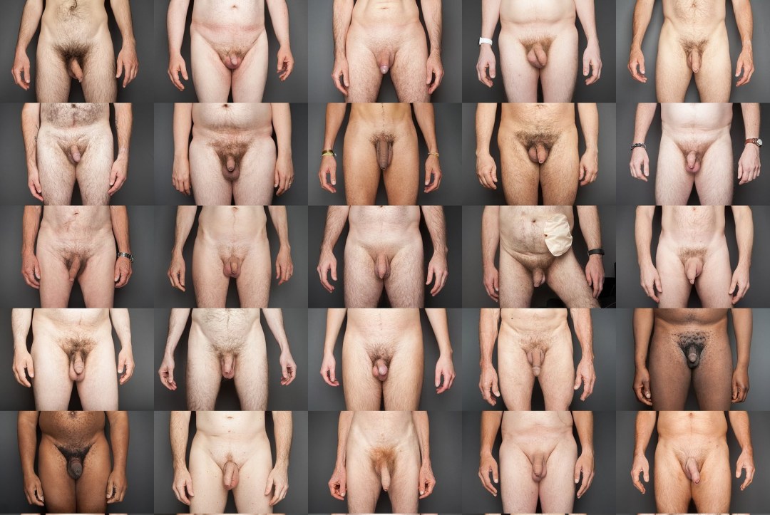 Formas de genitales masculinos