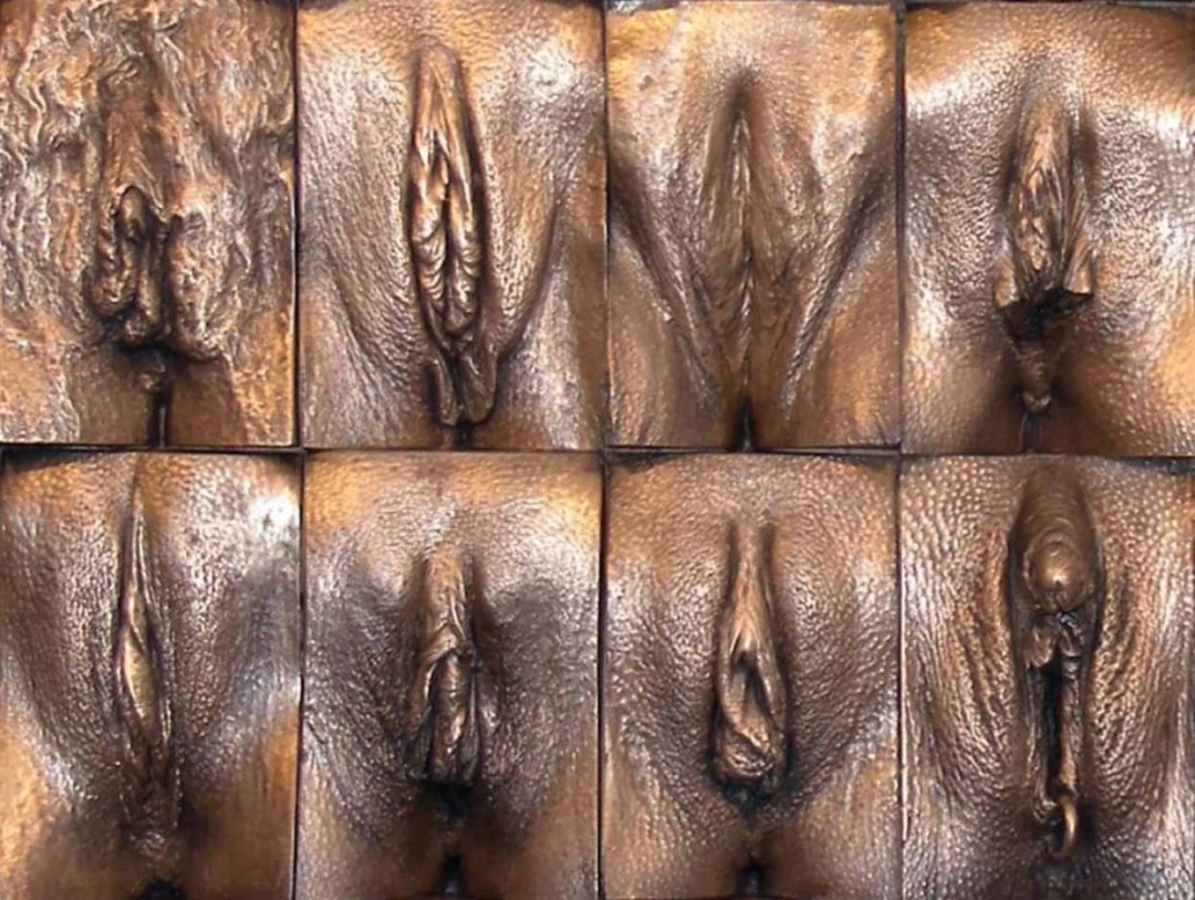 Formas de vagina femenina