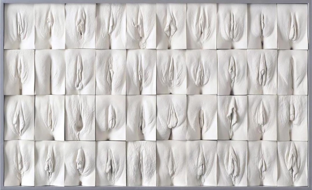 Muro de Vagin Jamie McCartney