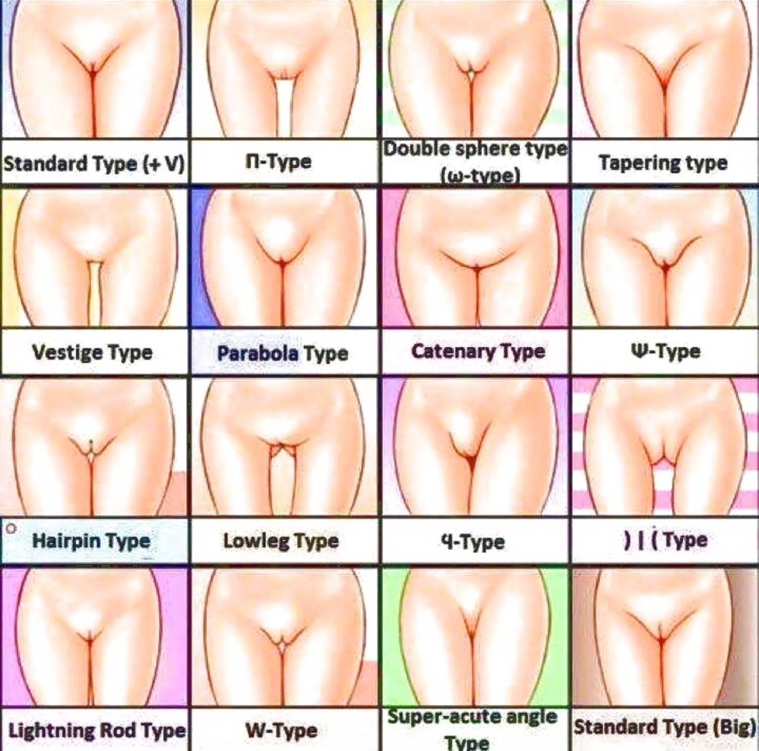 Variedades de vagina femenina