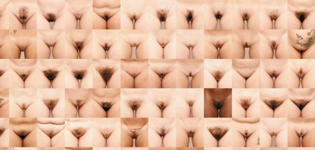 Diferentes formas de coños femeninos