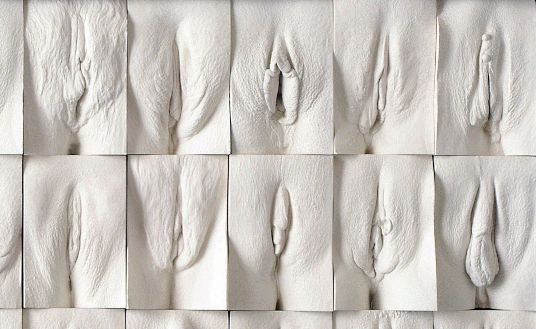 Jamie McCartney "La Gran Muralla de Vagin"