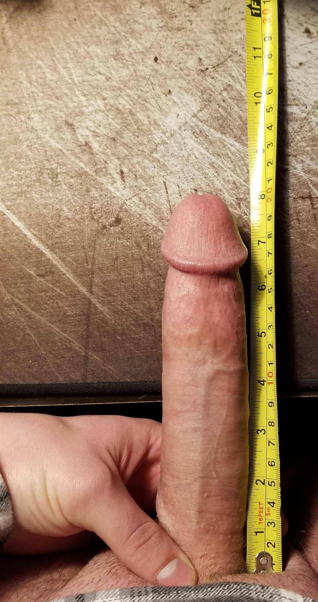 Miembro 12 cm