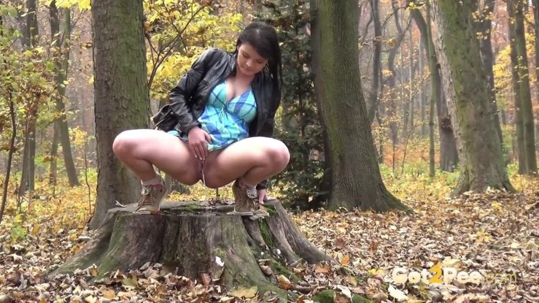 Chicas enojadas en el bosque