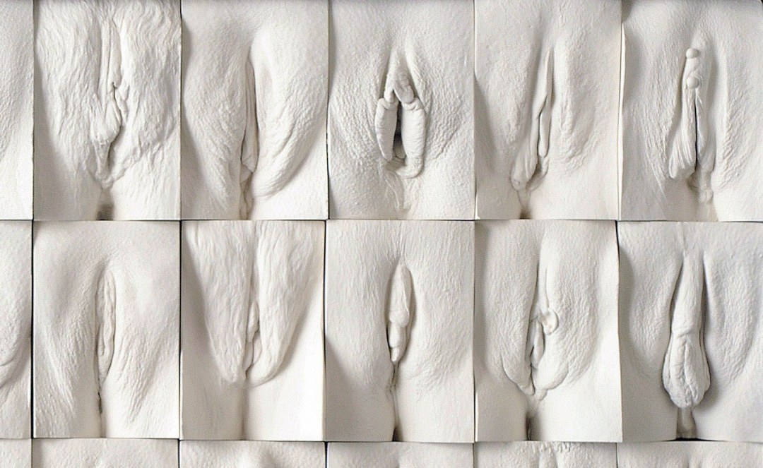 Muro de Vagin Jamie McCartney