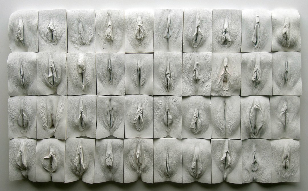 La gran pared de la vagina Jamie McCartney