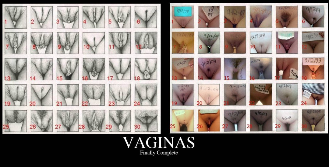 Tipos de dibujo de vaginas femeninas