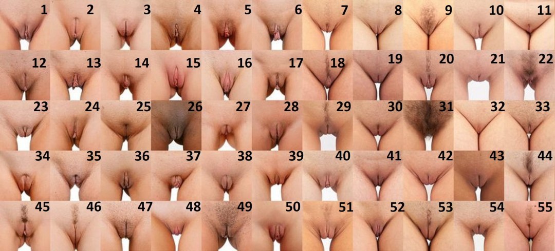 Ubicación de vagina en mujeres
