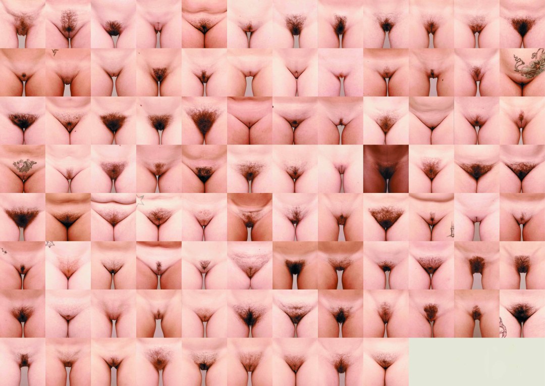Diferentes formas de coños femeninos