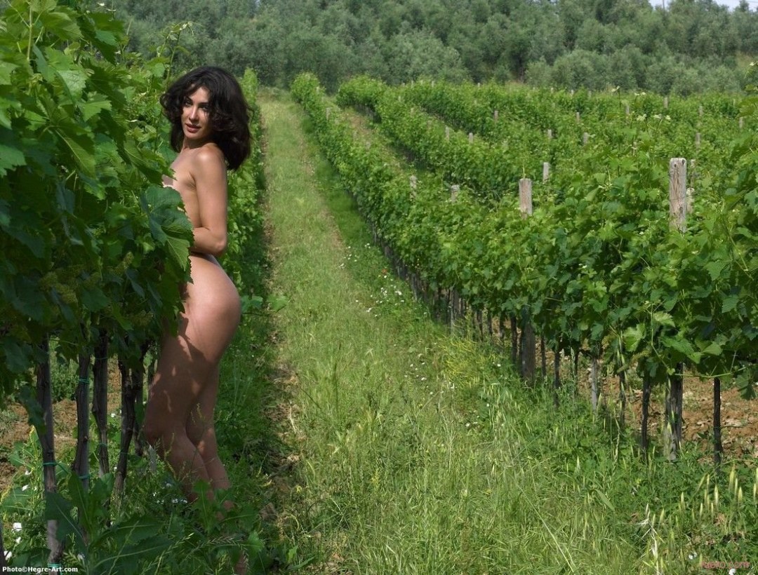 Mujeres desnudas en el viñedo
