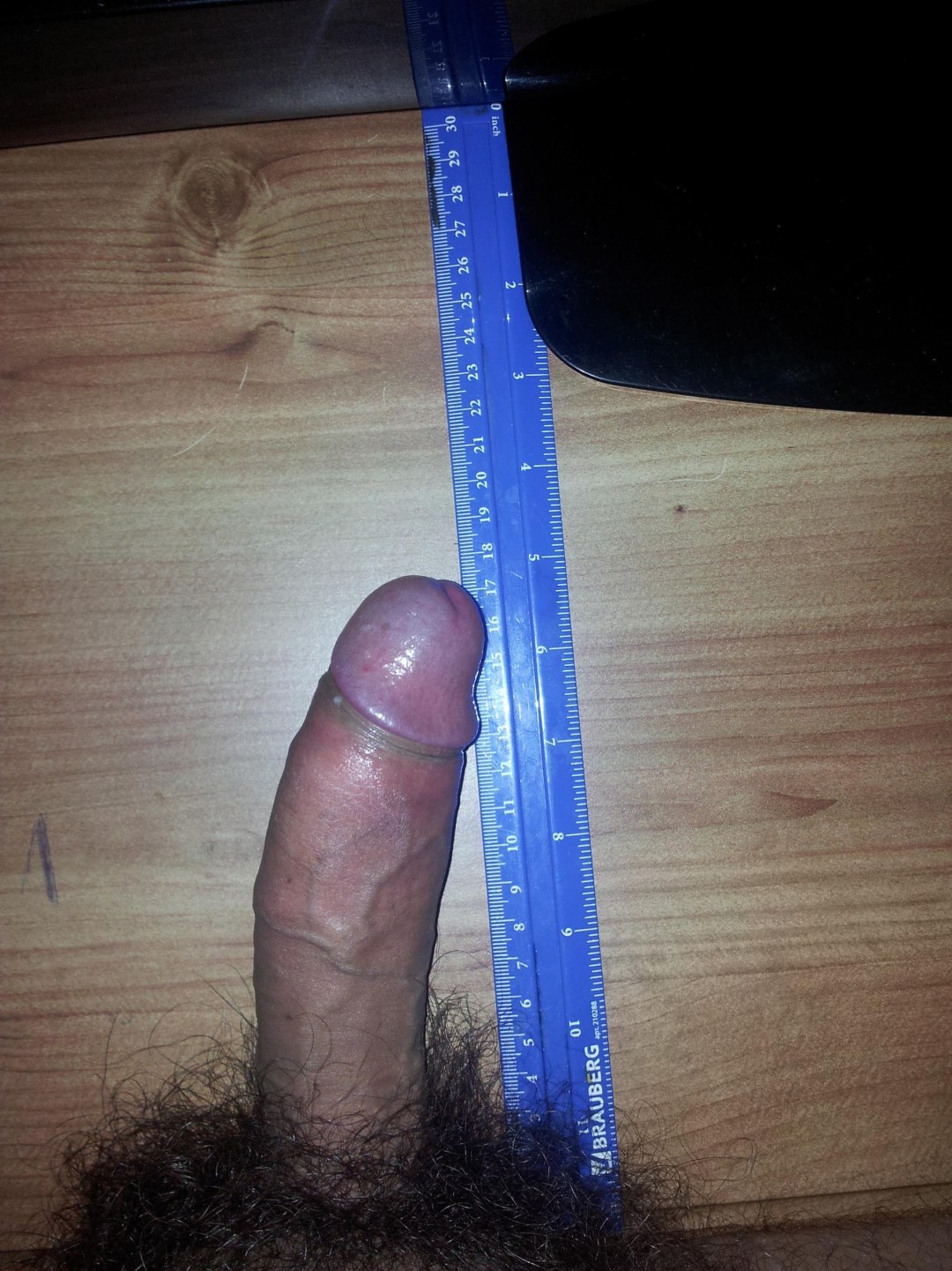 Miembro 16 cm