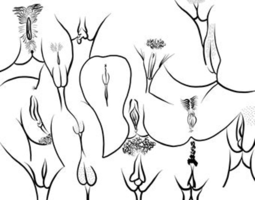 Imágenes estilizadas de la vagina