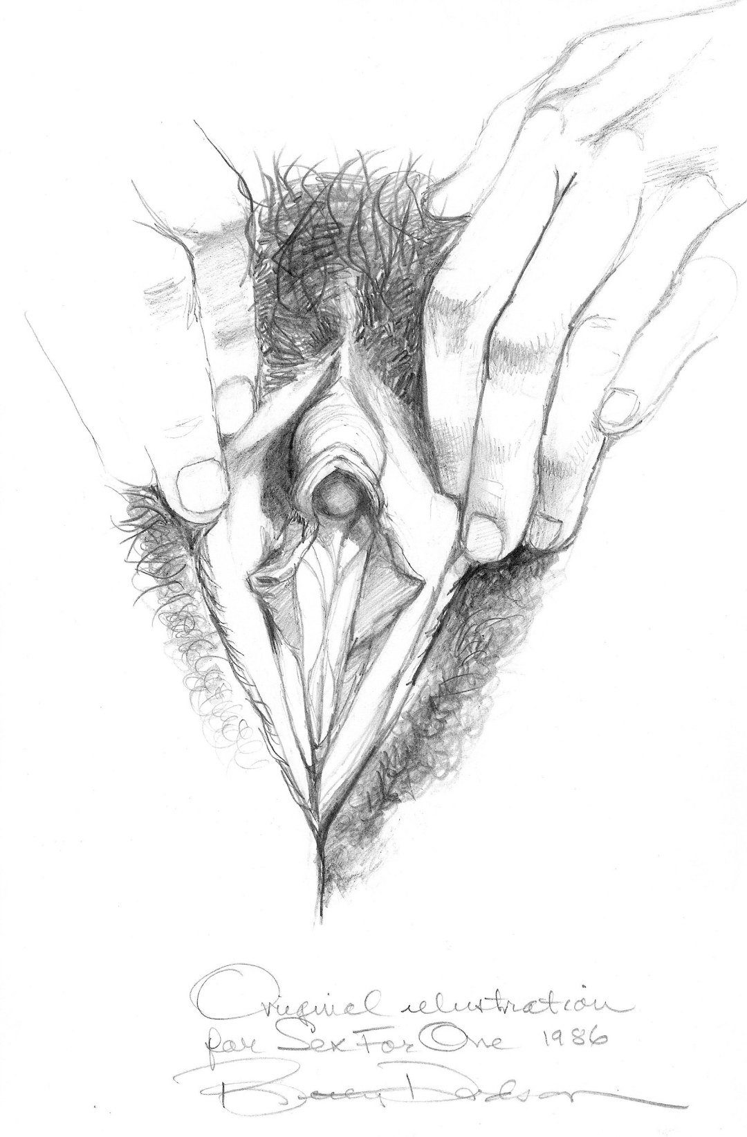 Dibujo de vagina con un lápiz